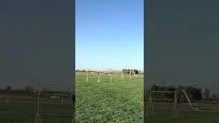 FPV Racing Drone Roar Caught in Third-Person View! 🔥