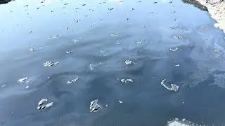 Lake Katwe Salt Pans Encounter in Kasese District with @kyoomagorillasafaris