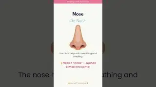 Nose | die Nase 📖✨ Learn German with Me: Medical Vocabulary #germanmedicalterms