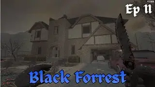 Black Forrest Mod - Day 11 (Today was painful...)