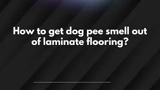 How to get dog pee smell out of laminate flooring?