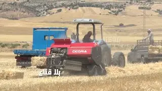 bila kinaa|خلي المستور مغطي..فلاح يكشف أن وراء الصابة أطراف تمتص جهود المزارعين وتأكل الأخضر واليابس