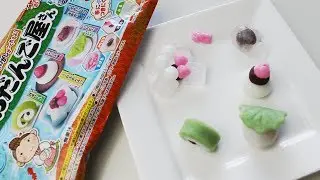 [DIY Kit] Odangoya-san: Strawberry Daifuku, Taiyaki, Warabimochi & More | Meigum