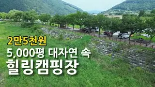 Кемпинг в Корее/Кемпинг для пары в Корее/Кемпинг грузовиков/Путешествие на машине для кемпинга/щенок