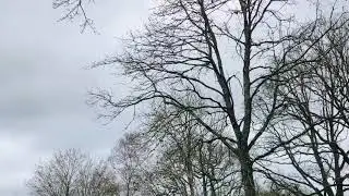 North Baddesley - Hampshire - South of England