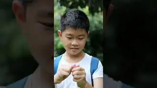 Did you know lychees are explosive?!
