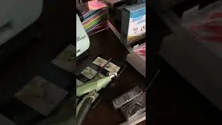 Purging Crafty Tools