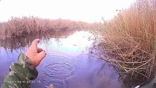 кума 16.10.2018