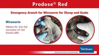 Virbac Prodose&reg; Red and Carmino video