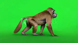 A monkey walking on green screen animated chromakey background scene cartoonish figure colorful