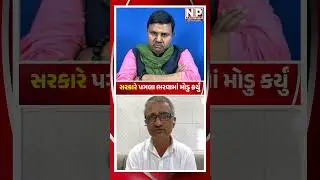 સરકારે પગલા ભરવામાં મોડુ કર્યું #newsporter #gujaratgovernment #trending #shortsvideo #ahmedabad