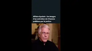 L&rsquo;interview de Jeffrey Epstein par l&rsquo;ancien conseiller de Donald Trump