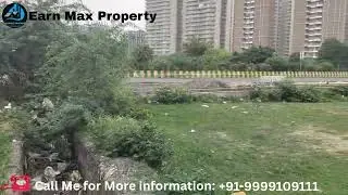 20 Bigha Land in Sector 79 Noida | Between Apartments, IT Hub & Market | Best for Jobs & Business