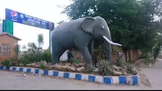 karachi Safari Park |Multi Talent With Nusrat