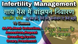 AI kaise kare ?? PD kaise kare ? Infertility Management Complete Course