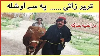 Bannu Talent Mazahia Khaka |2020| Funny Video, Eid Ul Azha Qurbani