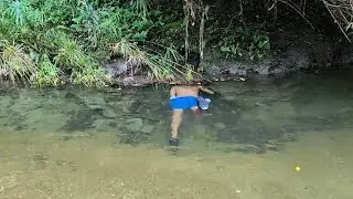 PESCANDO SOLO CON MI ARPON EN EL MARAVILLOSO CAMPO DE LOS GUINEOS