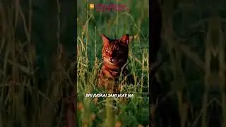 KYU PAL KA || A D D H Y A N Y T || SONG STATES #shorts #kyupalka #ytshorts #trading #addhyanyt #145