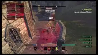 ESO: Stam NB PvP Mix