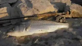 Casey Smartt's Glass Minnow Fly