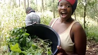 DAILY LIFE IN A REMOTE AFRICAN VILLAGE ||FROM SUNRISE TO SUNSET #africa #villagelife #vlog #village