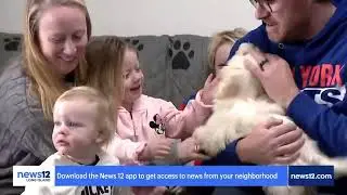 Paws of War Rescues Dogs from TN Puppy Mill and Finds New Home with LI Veterans and First Responders