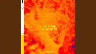 Digital Disaster