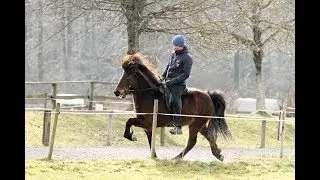Elja fr&aacute; Blesast&ouml;dum