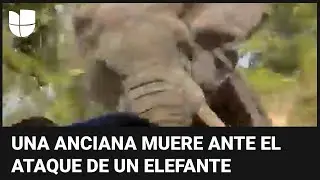 Una mujer estadounidense de 79 a&ntilde;os muere pisoteada por un elefante en Zambia durante un safari