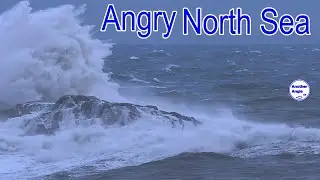 Massive Waves : North Sea CRASHING ashore. 