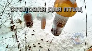 Кормушка для птиц  27 января 2026 года (05)
