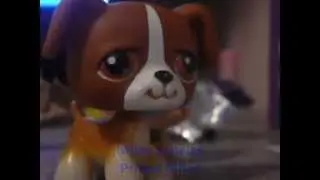 LPS: Love Story Season 2 ep 1