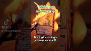 Burning increasingly expensive cards (10.50$) Metazoo Chessie #fire #destruction #metazoo #trading