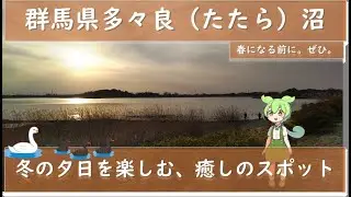 ひとまわりさんぽ（群馬県、多々良沼）夕日の多々良沼を散歩します。あまり知られていない小さな沼ですが、そのぶん、静かな、癒しの時間がありました。