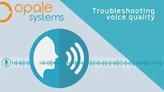 Troubleshooting Voice Quality