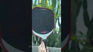 🐦&zwj;🔥 Dust Off The Ash: The Chorus Phoenix Pickleball Paddle Is Here! 🐦&zwj;🔥 #lemonade #usap #pickleball