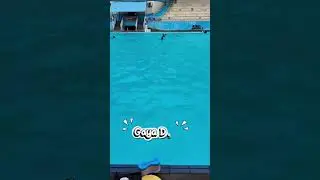 Berenang bersama adik tercinta