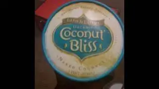 Chicago Visit and Coconut Bliss Vegan Ice Cream Taste Test and Review
