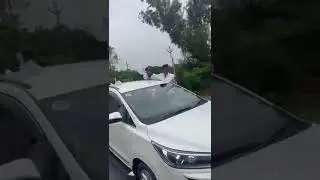 gouds car rally