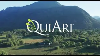 Discover QuiAri Video: English