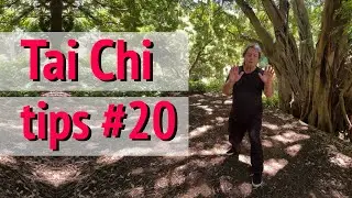 Tai Chi tip 20 -  #TaiChi