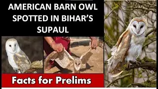 American Barn OWL spotted in Bihar's Supaul District #prelimsfacts