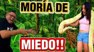 ✅ TABASCO /PARQUE MUSEO LA VENTA 🐊