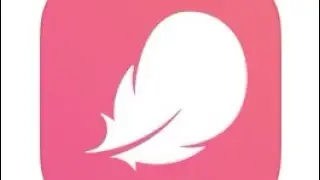 Flo App Review
