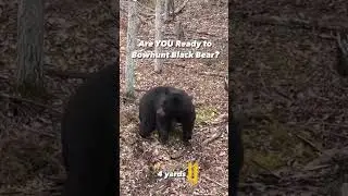 The exact moment you question the predator-prey relationship. Black Bear Bowhunting in Alberta.