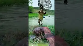 Eagles hunt wild animals at zero distance Dangerous moment Hunting moment Rare sight Shocked by th