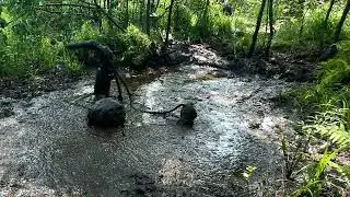 Rope Throws - Masurian Bogs 2025 | day 6-2