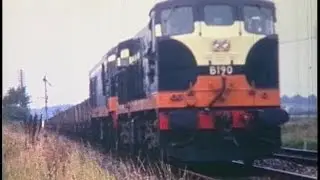 CIÉ - Passenger + Freight trains @ Waterford West (1971)