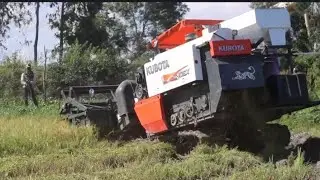 Awesome Kubuta Harvester DC 70 Plus Harvesting Rice #ម៉ាស៊ីនច្រូត #dc70 #mahadev 