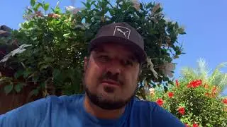 Tanoa Talk - Kava Cultivars